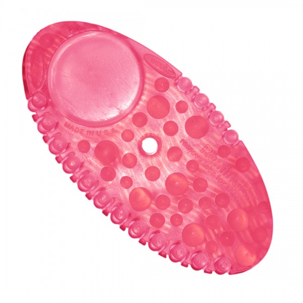 Fre-Pro Remind Air Curve Lufterfrischer Spiced Apple