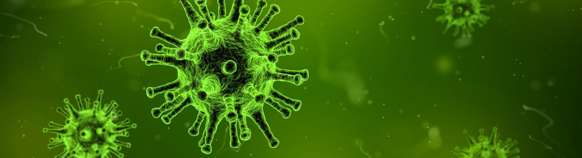 virus-18120920exUEl1kP1LIM